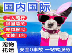 通辽航空物流国际宠物托运 【国